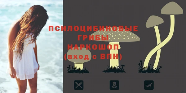 тгк Киреевск