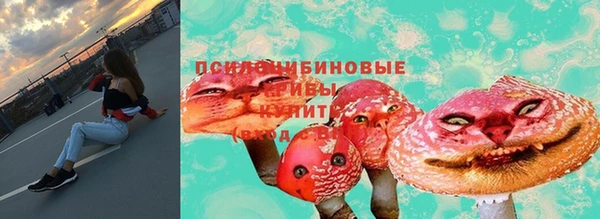 тгк Киреевск
