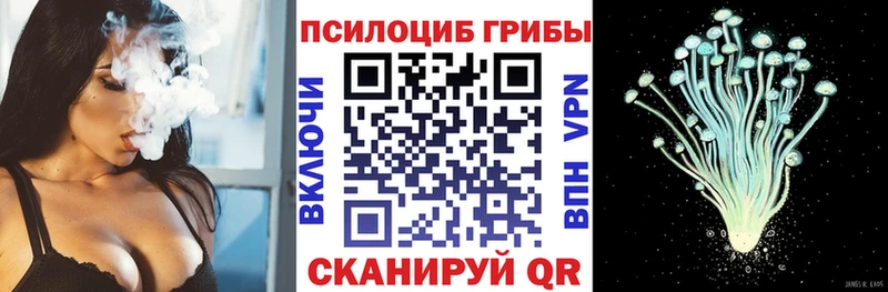 Псилоцибиновые грибы Psilocybe  Купить где  Великие Луки 